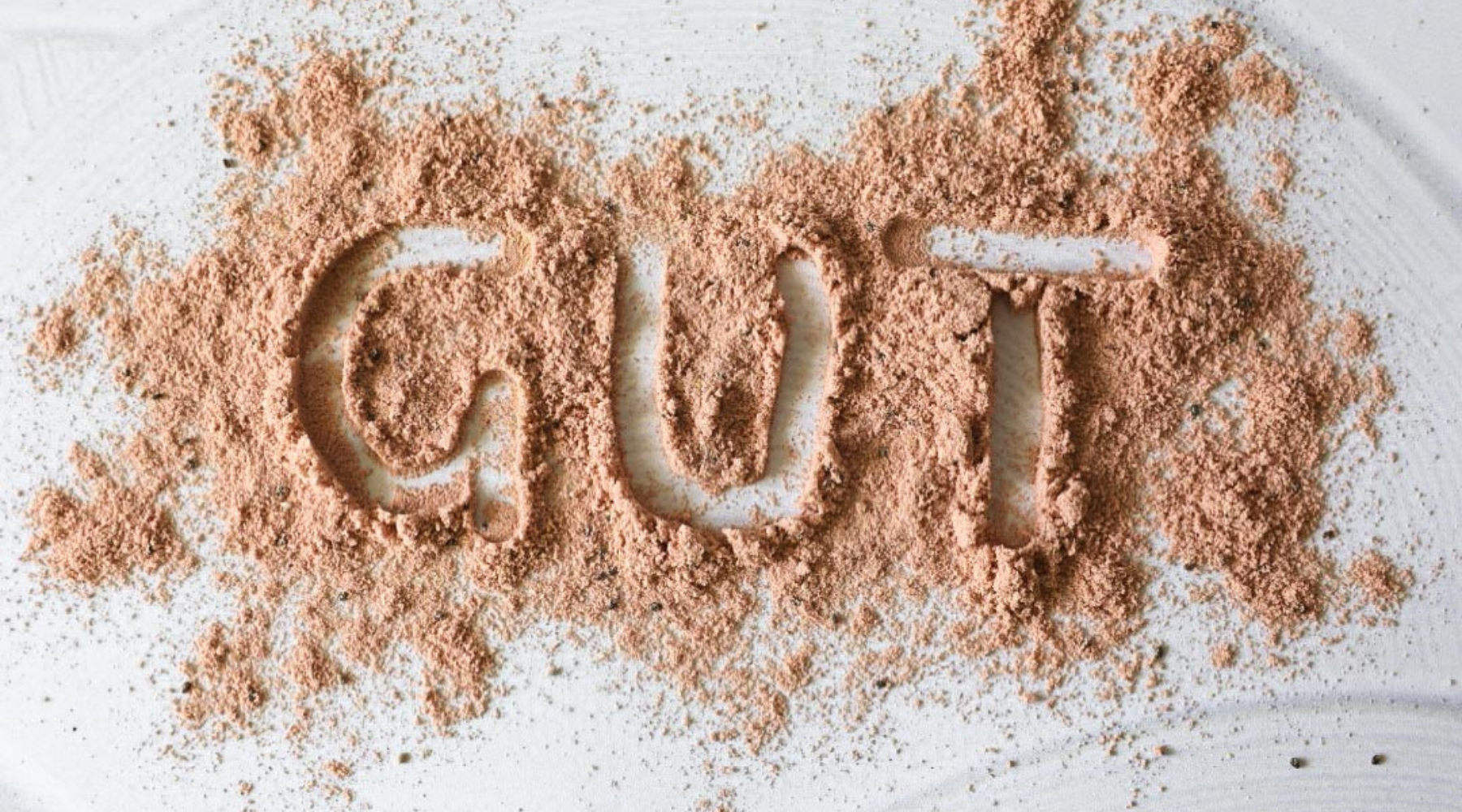 The Importance of Gut Health for Dogs