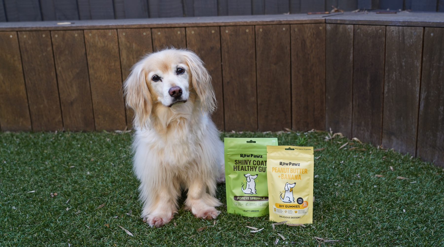 Why we use Collagen & Gelatin in our Raw Pawz Products
