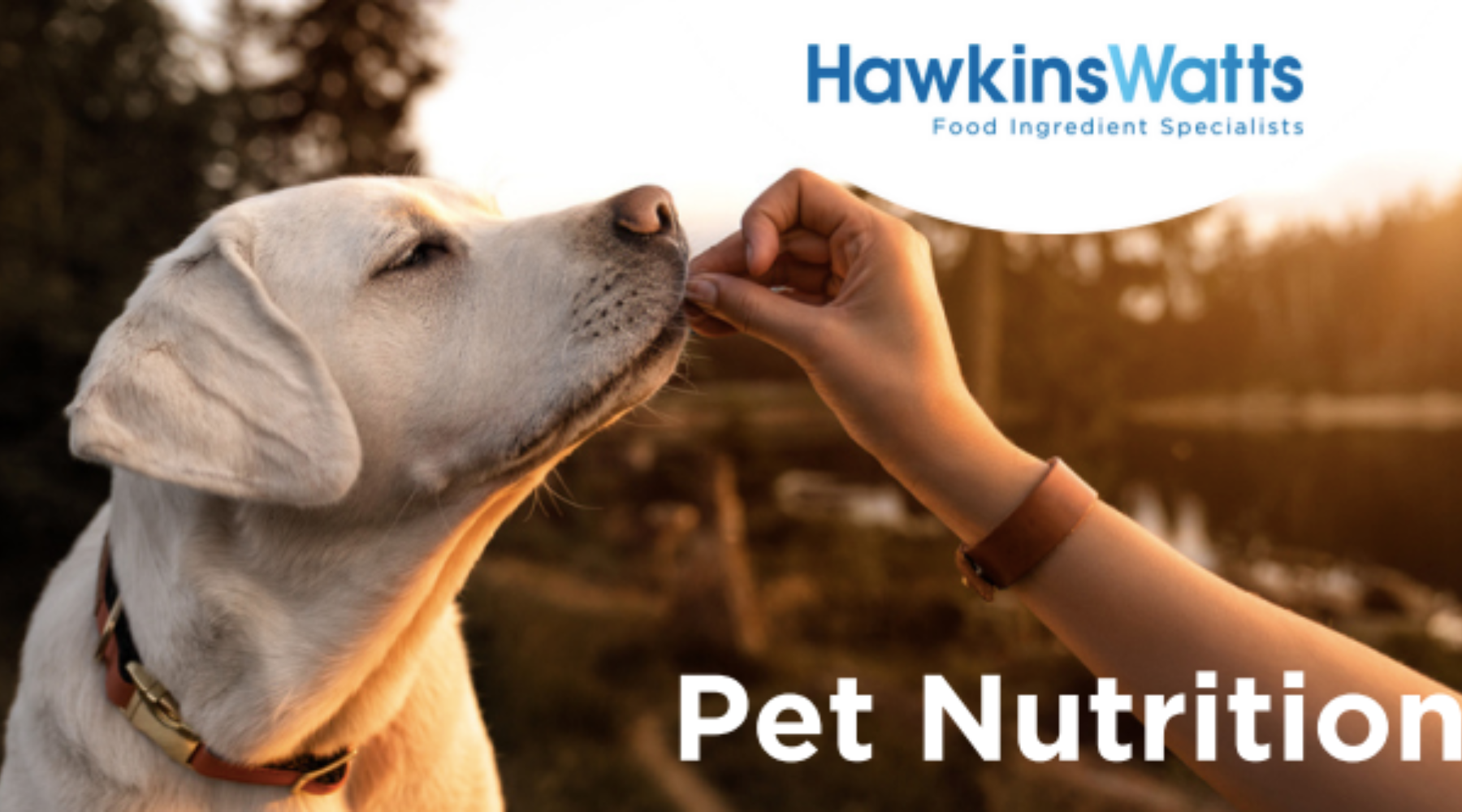 Pet Nutrition is Constantly Evolving